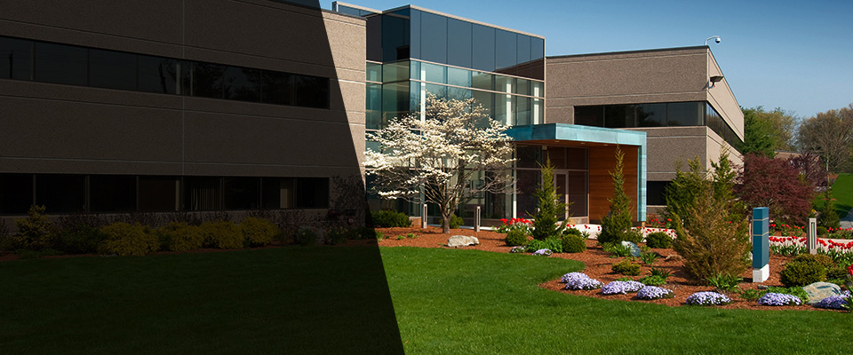 Harveys Lake Landscapers