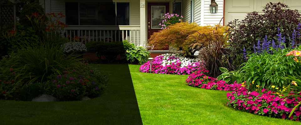 Harveys Lake Landscapers