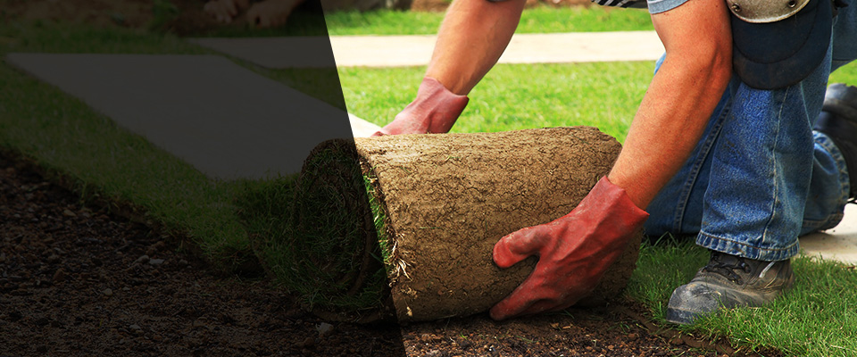 Harveys Lake Landscapers